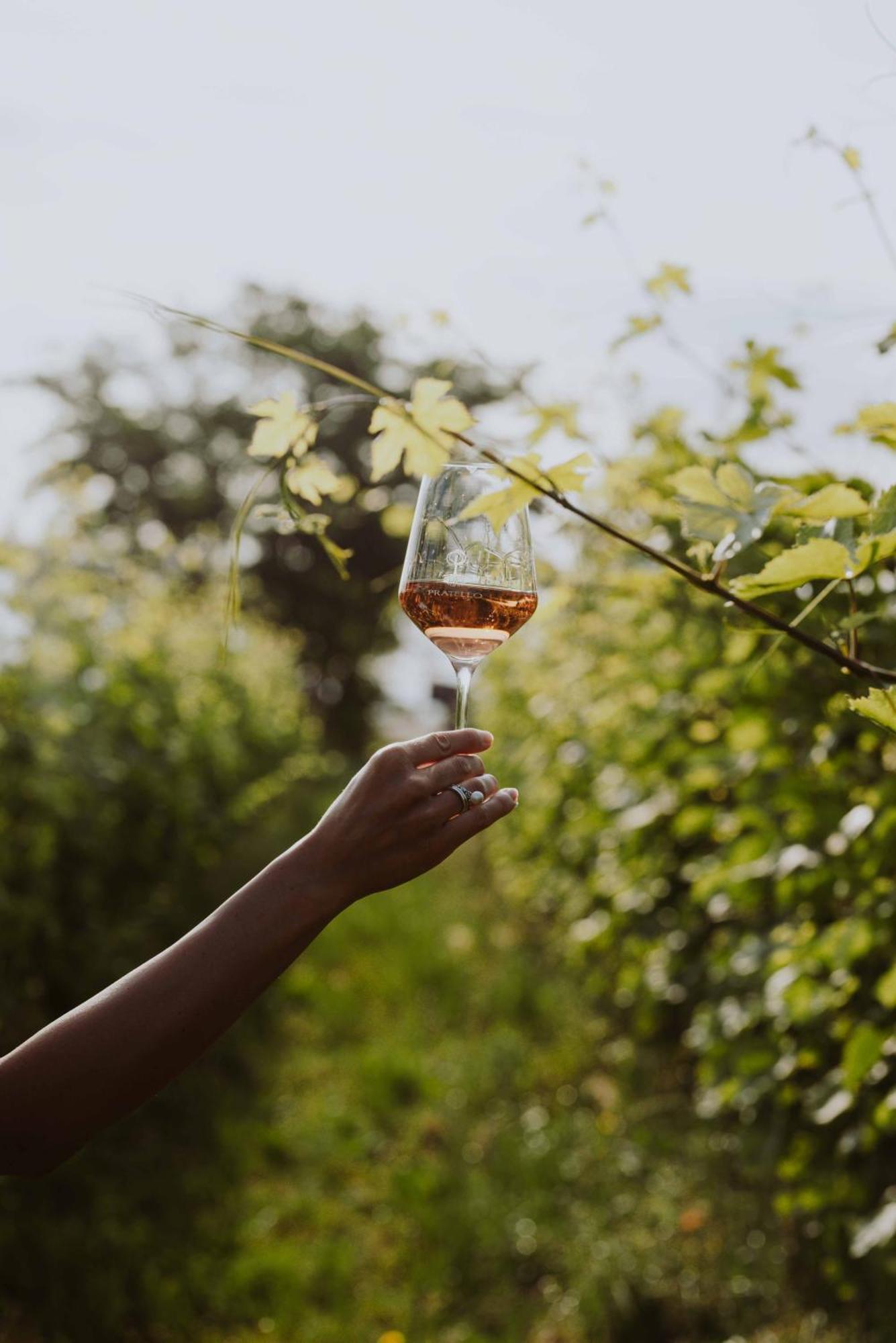Agriturismo Pratello Padenghe sul Garda Ngoại thất bức ảnh